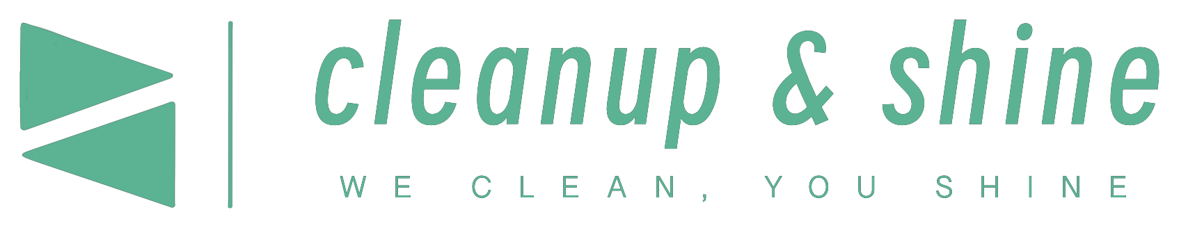 Cleanup & Shine